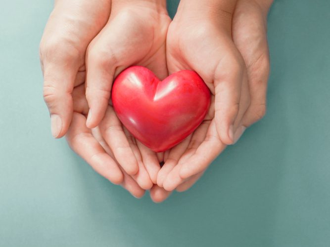 Estudio Cardiovascular